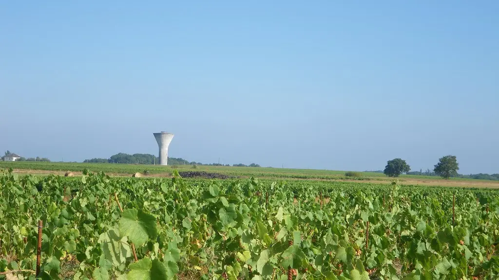 circuit-terres-vignes-st-lumine-clisson-levignoblenantes-touris (9)