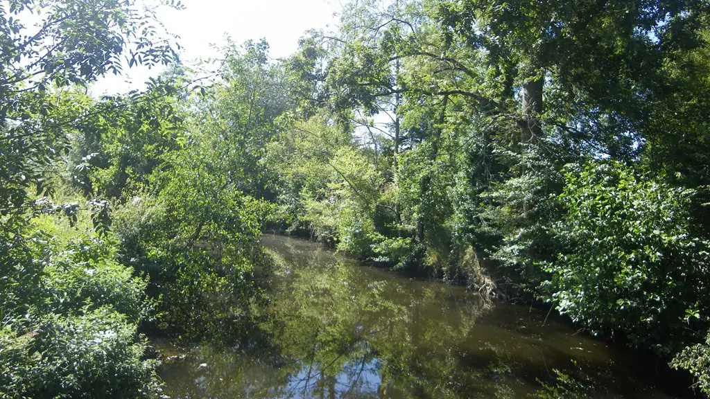 circuit-vignes-mouzillon-levignoblenantes-tourisme (1)