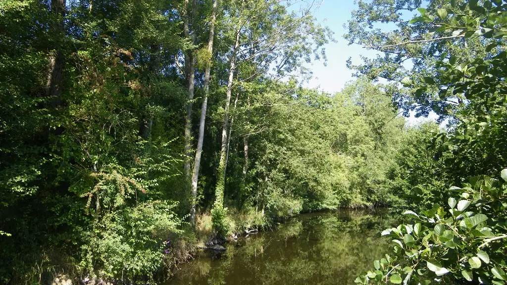 circuit-vignes-mouzillon-levignoblenantes-tourisme (10)