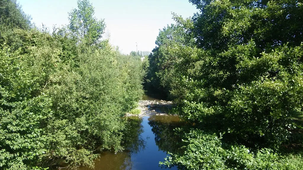 circuit-vignes-mouzillon-levignoblenantes-tourisme (11)