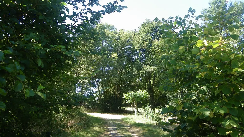 circuit-vignes-mouzillon-levignoblenantes-tourisme (5)