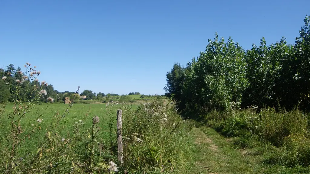 circuit-vignes-mouzillon-levignoblenantes-tourisme (6)