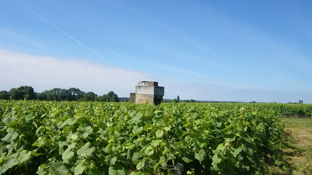 circuit-vignes-mouzillon-levignoblenantes-tourisme (8)