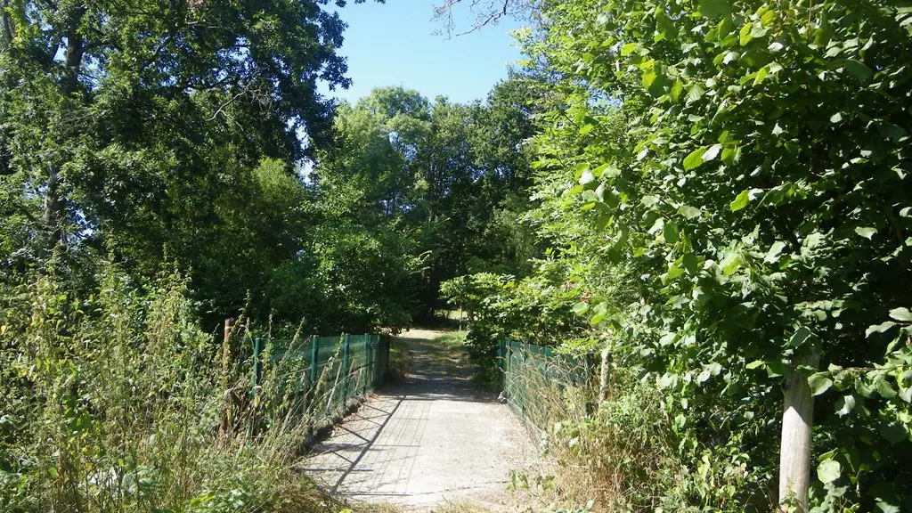 circuit-vignes-mouzillon-levignoblenantes-tourisme (9)