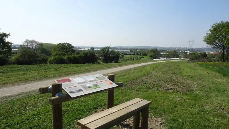 coulee-verte-la-chapelle-basse-mer-44-PNA (1)