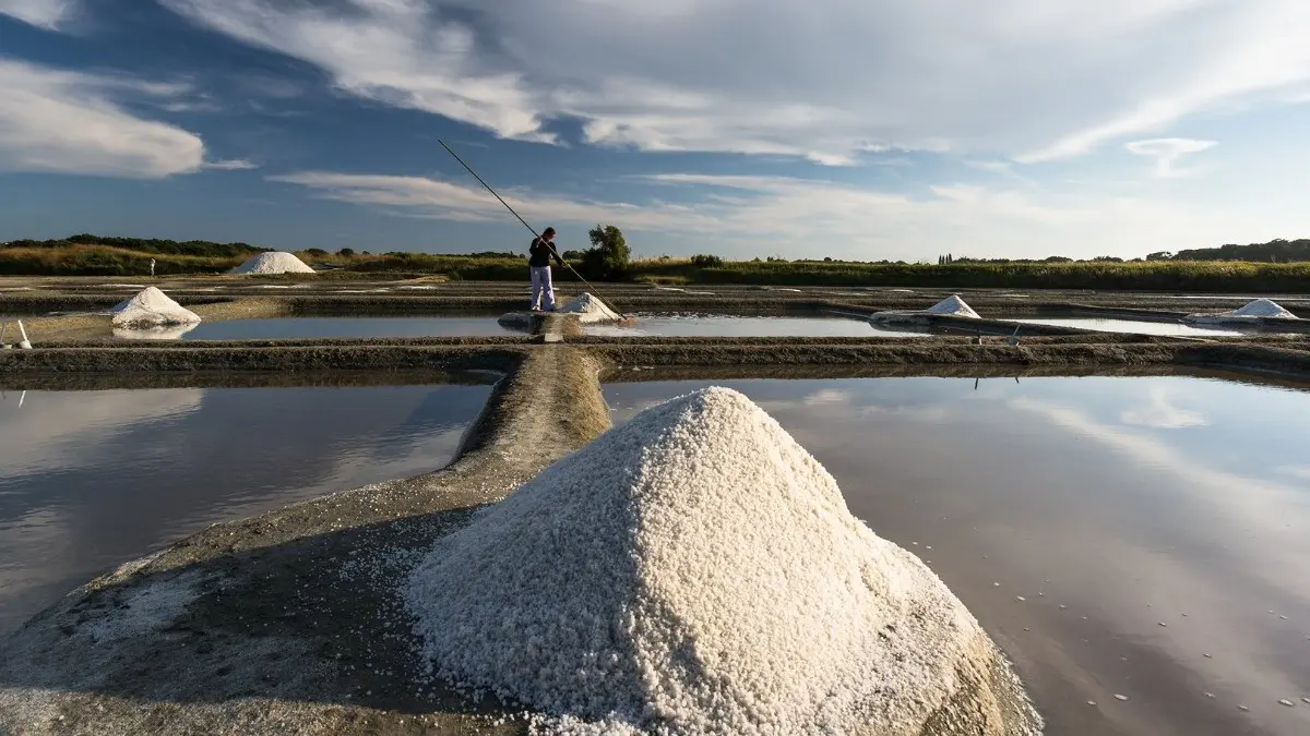79824 - marais salant de Guérande