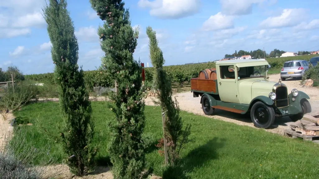 degustations-domaine-coeur-de-loire-la-chapelle-heulin-44-DEG-(3)