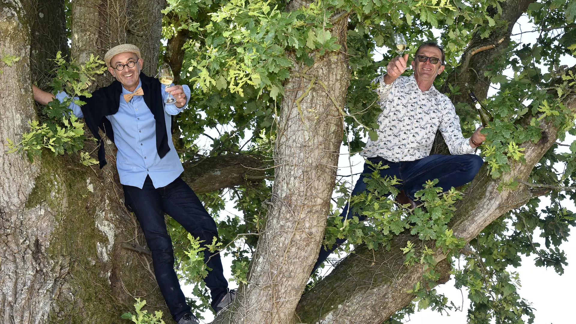 domaine-poiron-dabin-deux frères dans l'arbre-chateauthebaud-44