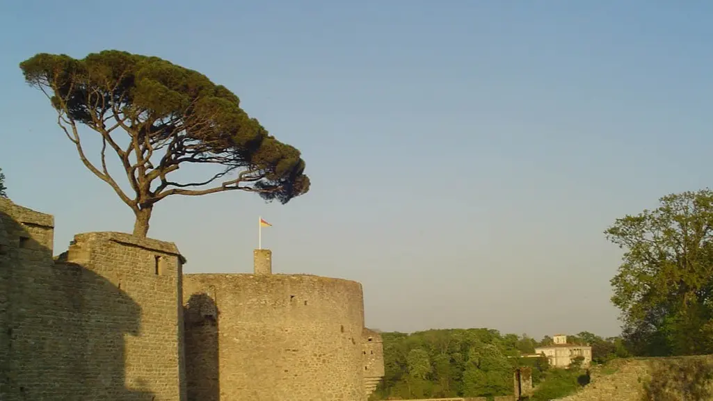 253652 - Clisson, le château