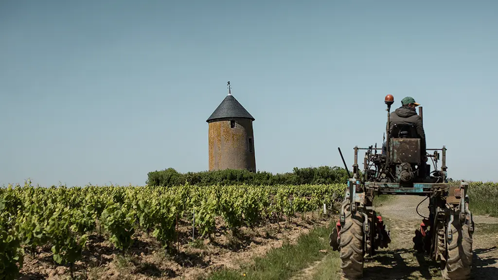 domaine-menard-gaborit