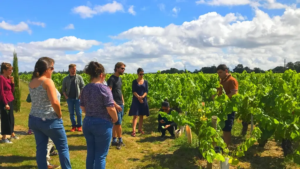 domaine raphael luneau-visite