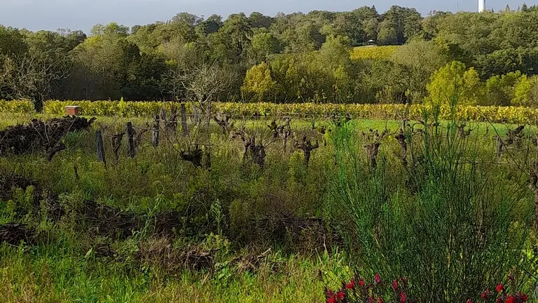 domaine trois versants paysage