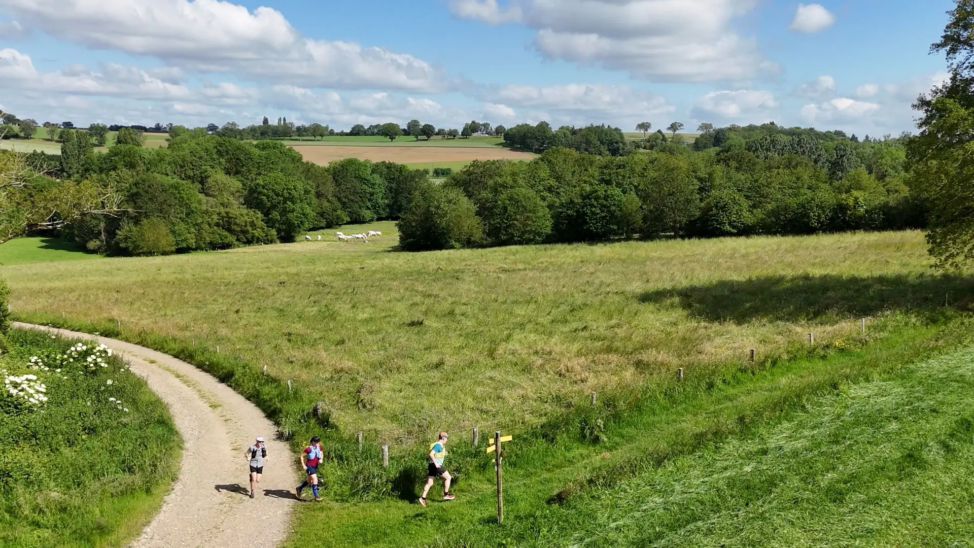 Sur la voie romaine - Trail