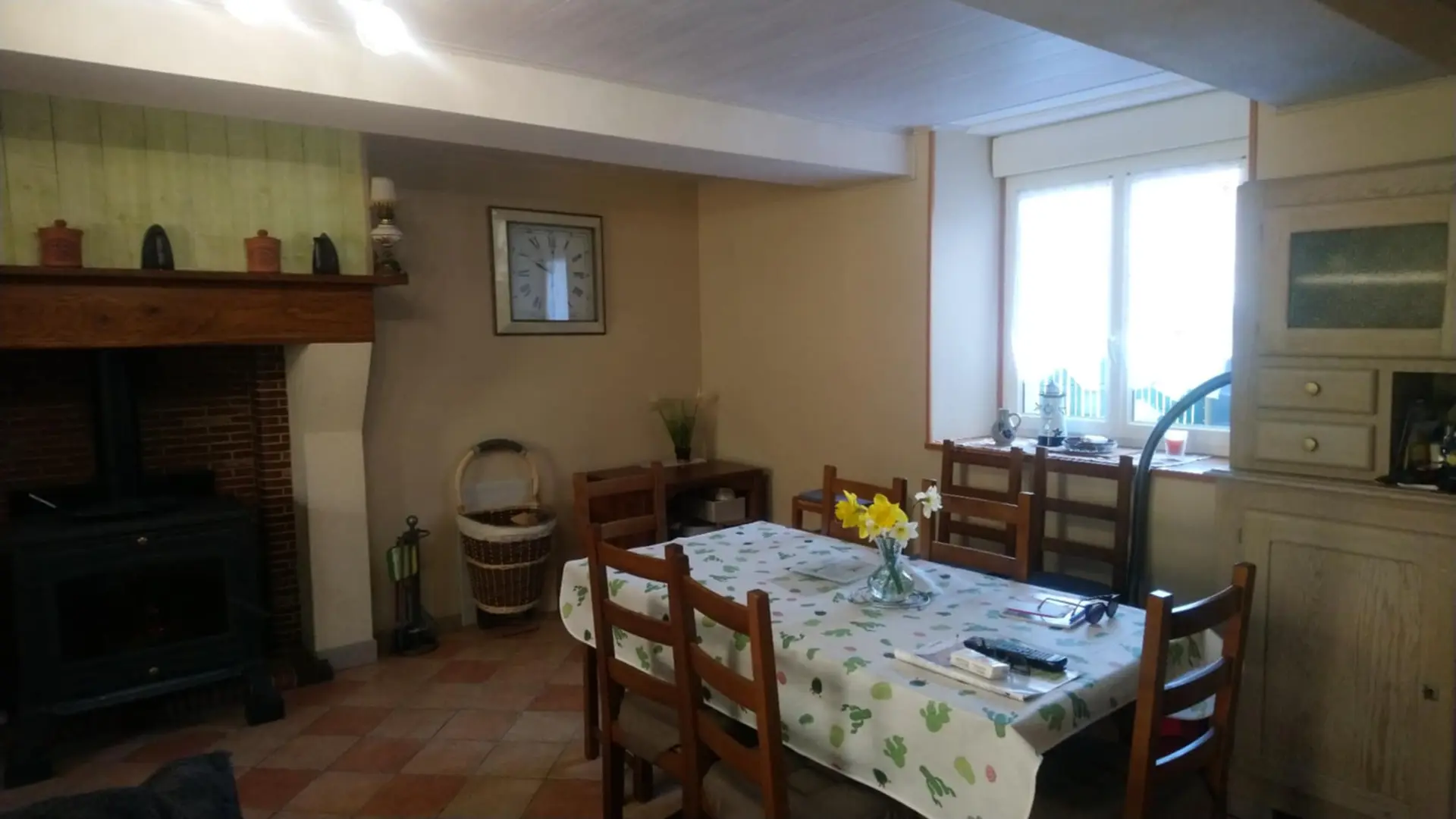 LES HORTENSIAS ROSES - STE MARIE DU BOIS