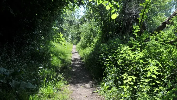 bena-balades-en-nature-accompagnée-sevremoine