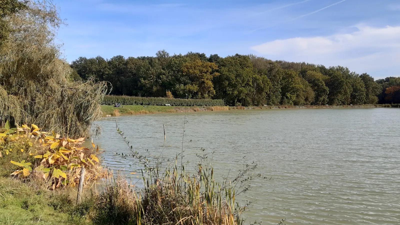 etang de stuilleries monnieres le vignoble de nantes tourisme3