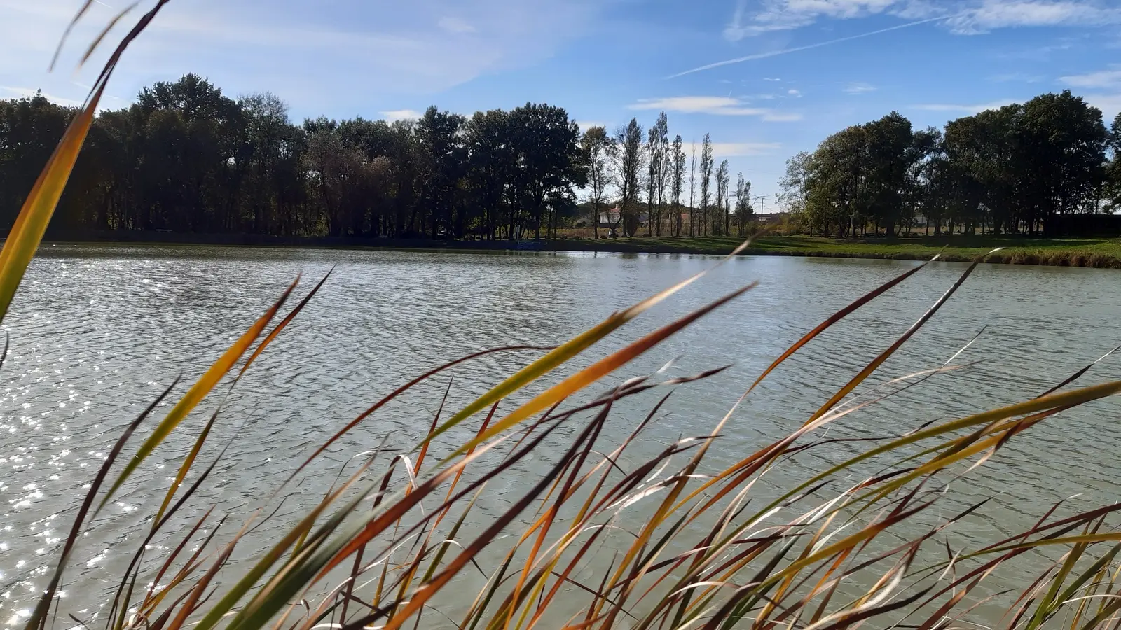 etang de stuilleries monnieres le vignoble de nantes tourisme6