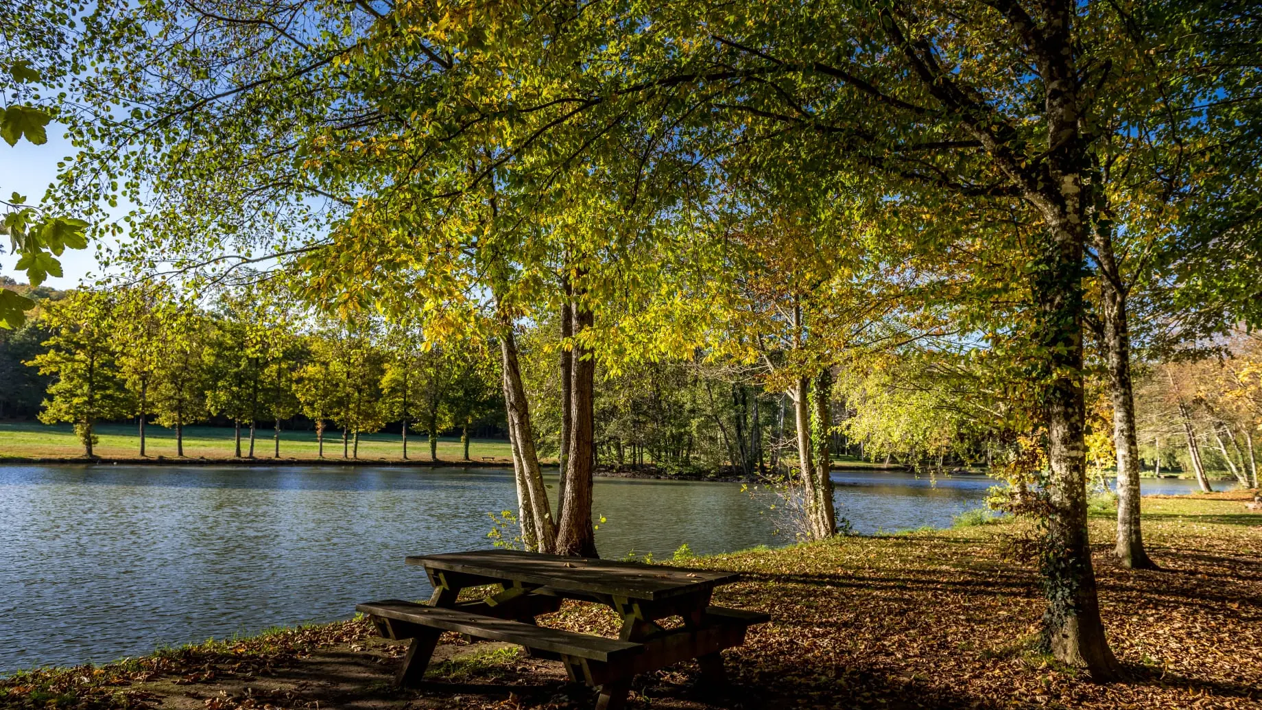 Etang de Courtanvaux