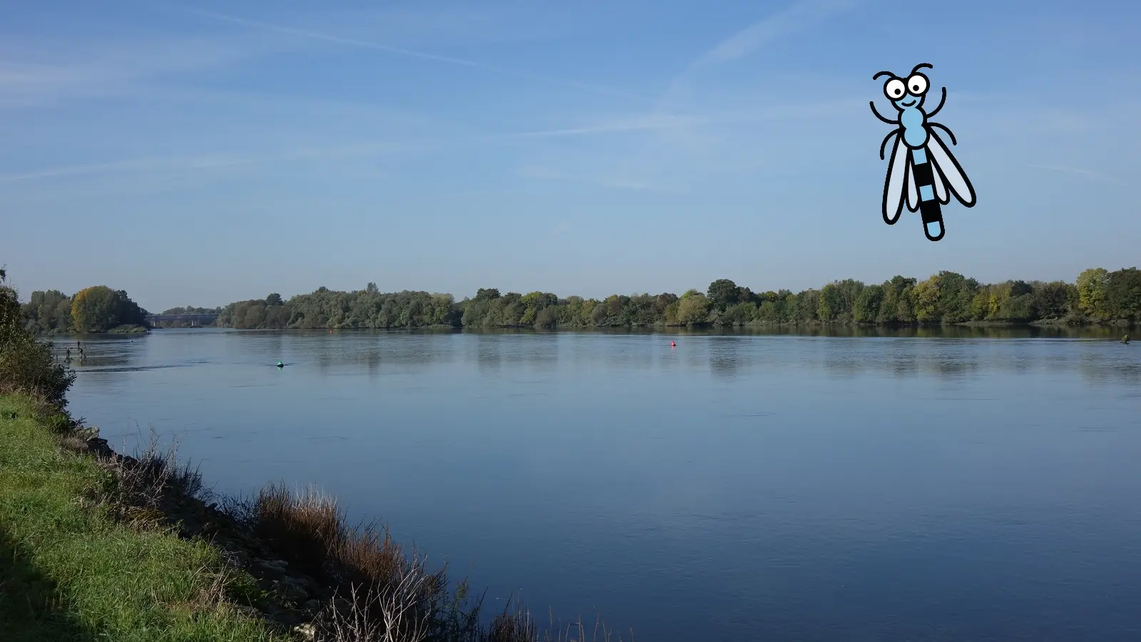 Application Baludik bords de Loire le vignoble de nantes tourisme