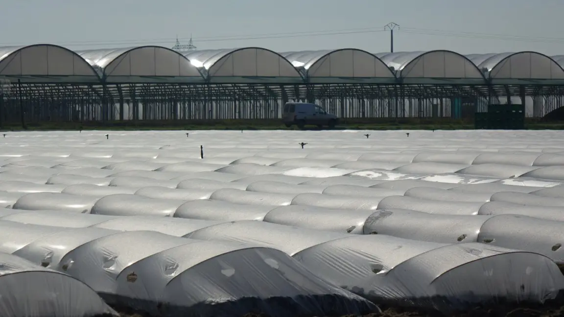 Application Baludik bords de Loire le vignoble de nantes tourisme