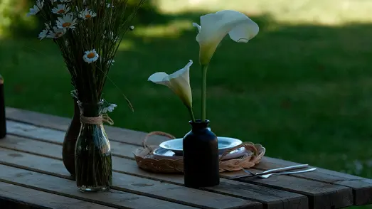 extérieur 2 la renazaie