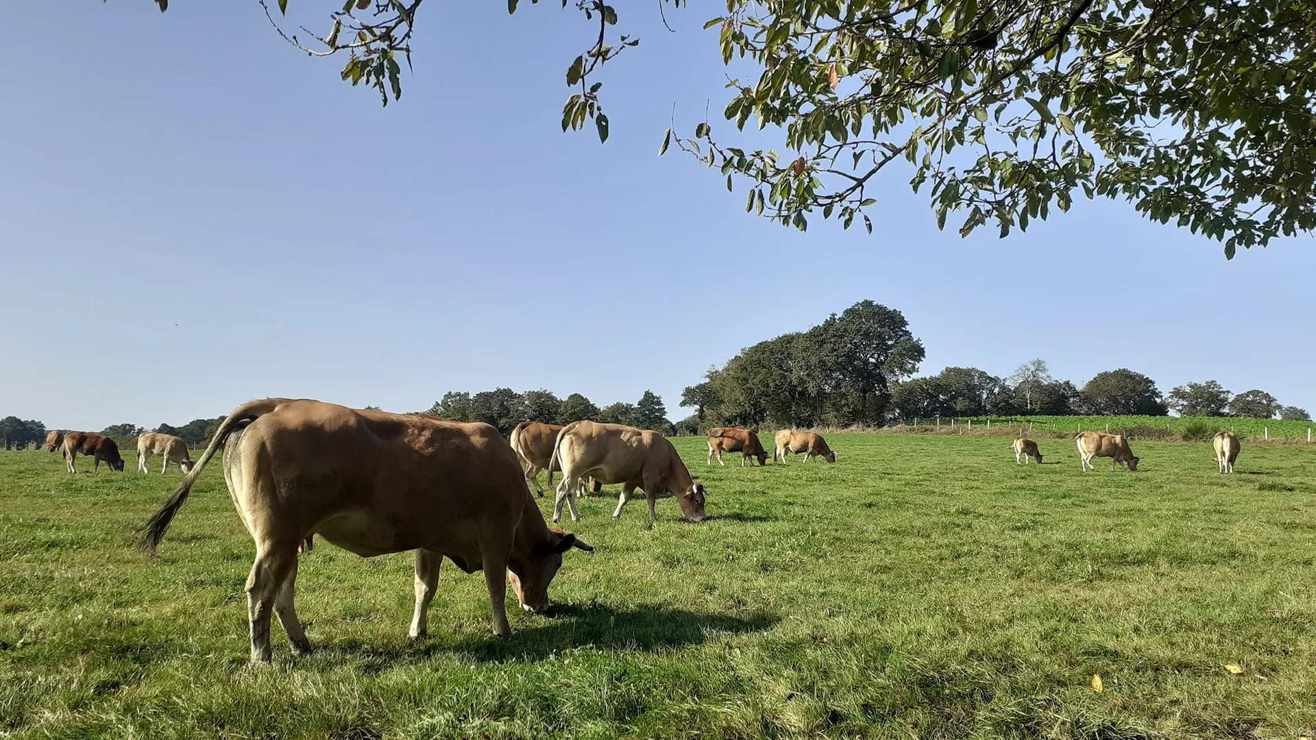ferme de la Seurrie