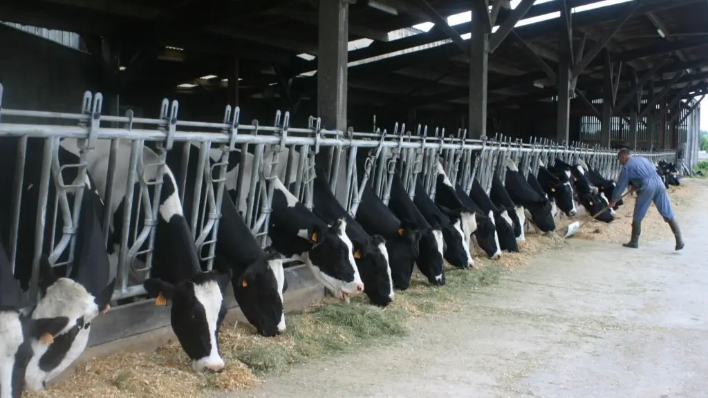 ferme pedagogique la pequiniere la boissiere