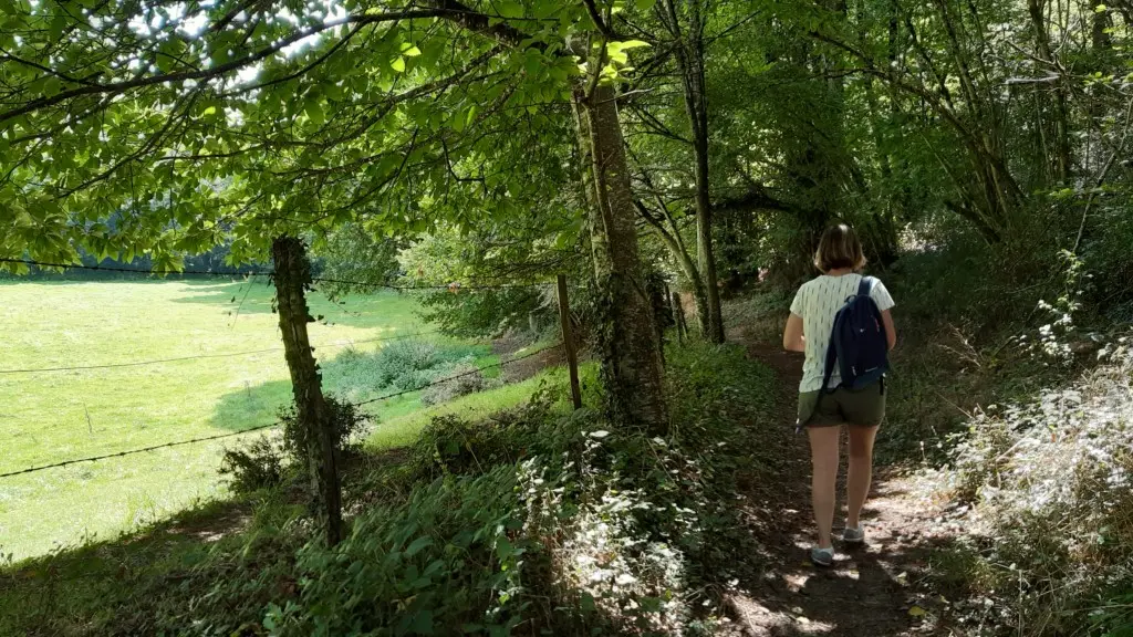 circuit-boucle-pedestre-fleurancellerie-la-regrippiere-44-ITI