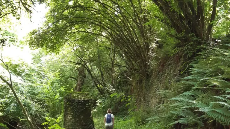 circuit-boucle-pedestre-fleurancellerie-la-regrippiere-44-ITI