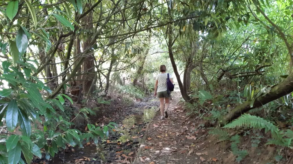 circuit-boucle-pedestre-fleurancellerie-la-regrippiere-44-ITI