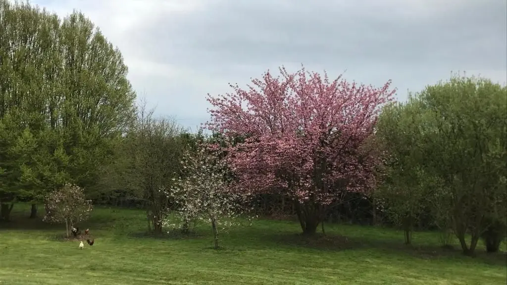 gite-le-pain-perdu-de-germaine-013