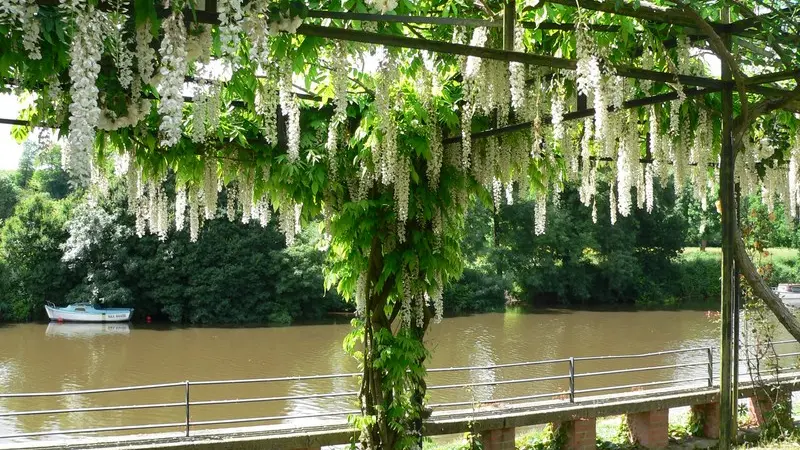 jardins-los-corrales-circuit-jardins-haie-fouassiere2