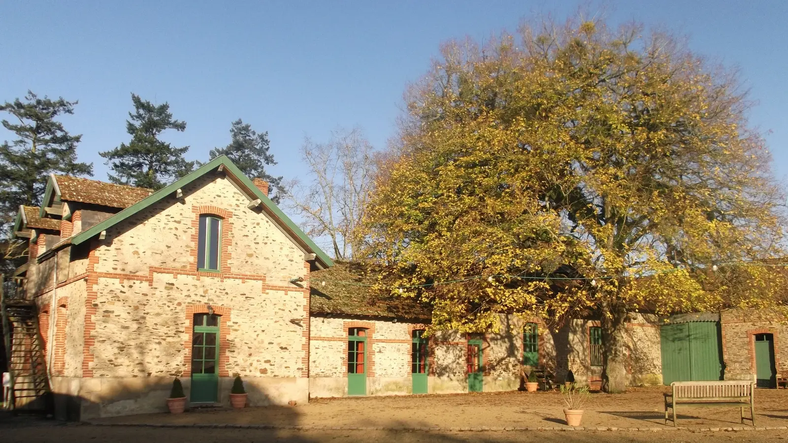 la cour des montys.La cour