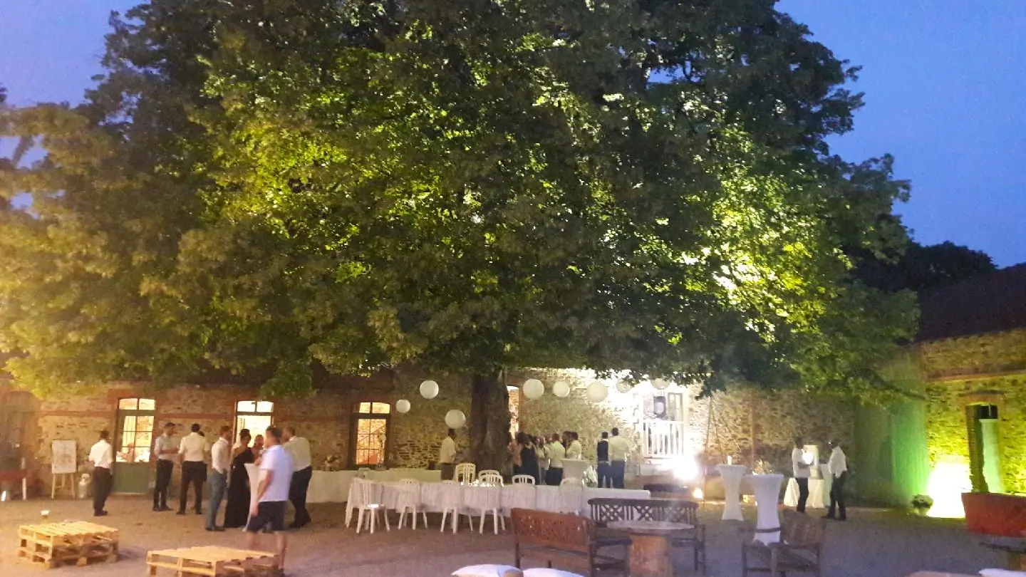 La cour des montys. La cour éclairée le soir