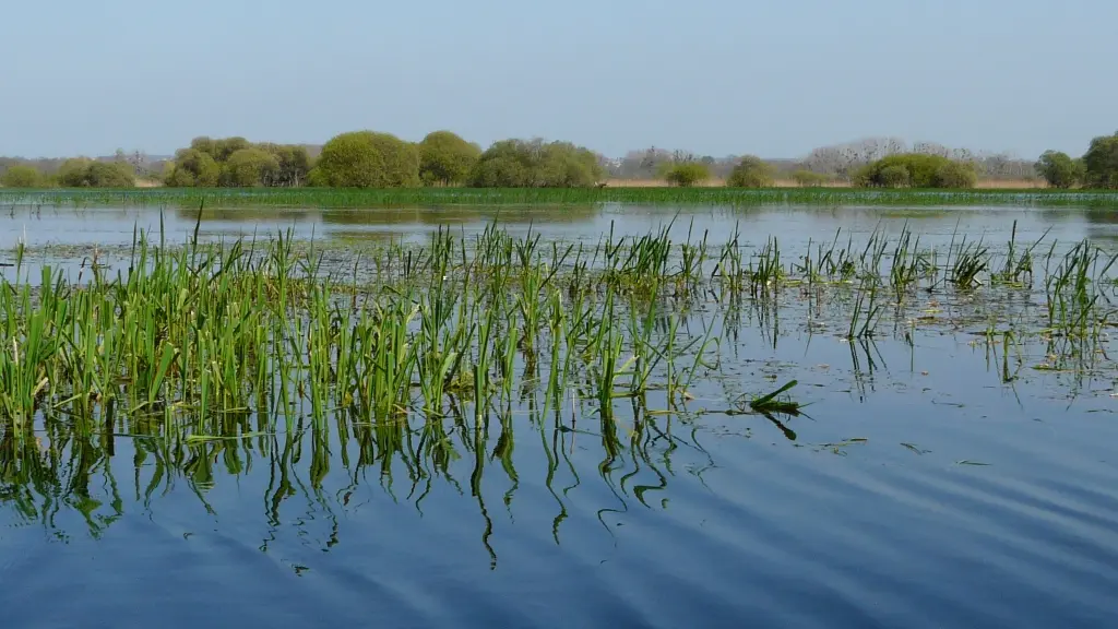 la maison bleue-haute-goulaine-44-PCU-1
