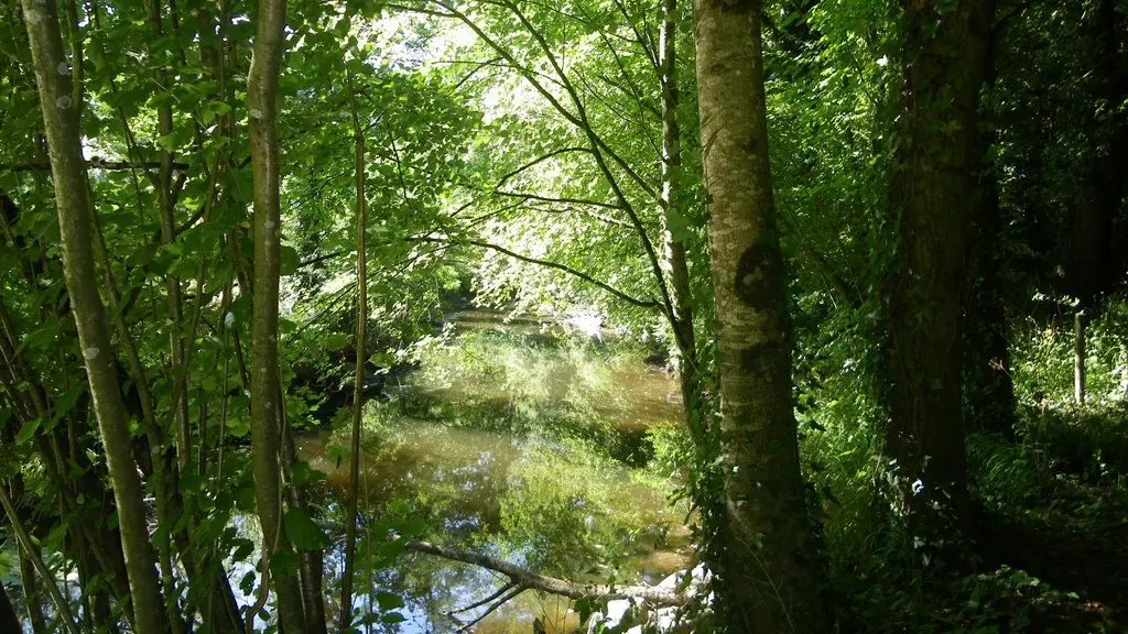 la-sangueze-le-pallet-44-PNA (1)