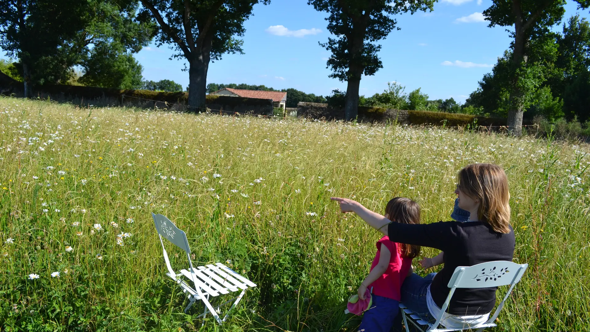 labyrinthe papillons