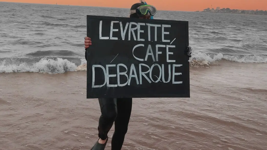 Levrette café