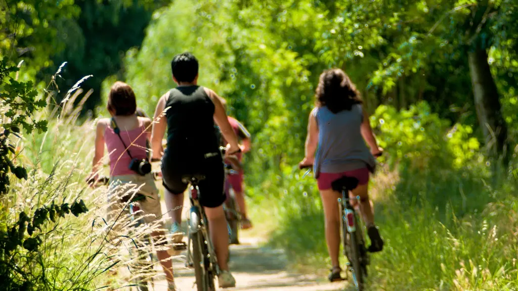 Vallée du Loir à vélo