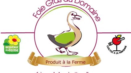 logo1