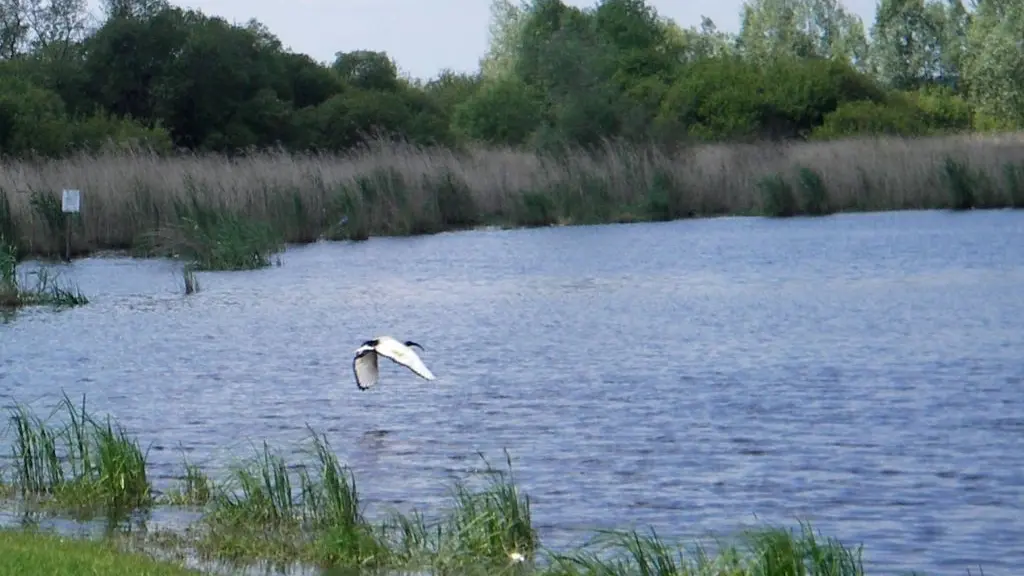 maison bleue haute goulaine