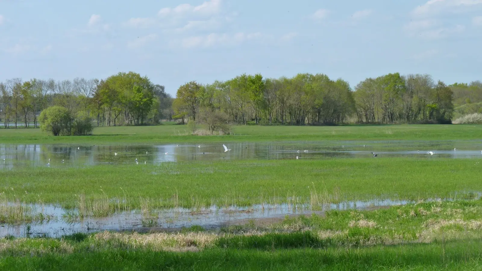 marais de goulaine 2 credit otvn