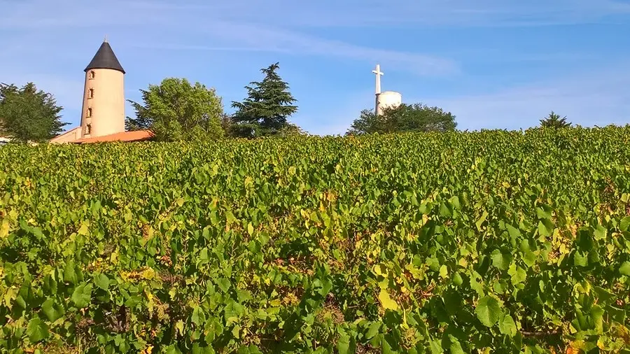 moulin-et-vignes--circuitdeshorizons-lelorouxbottereau-44-levignobledenantes-2