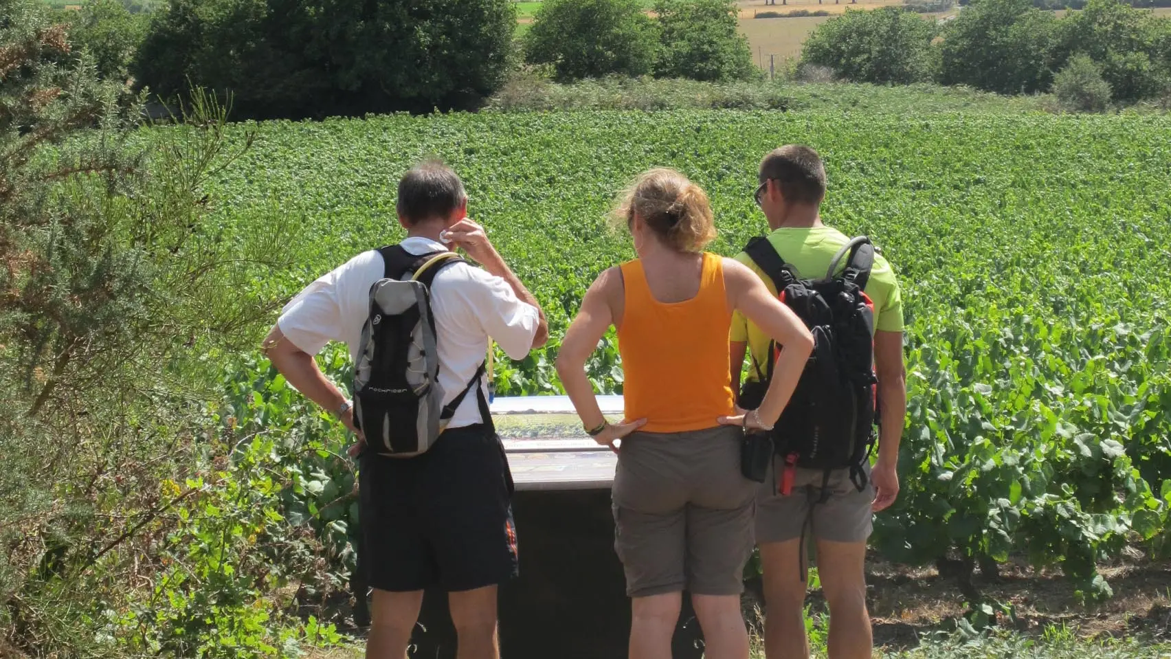 murmures-rochers-observatoire-levignobledenantes-tourisme (1)