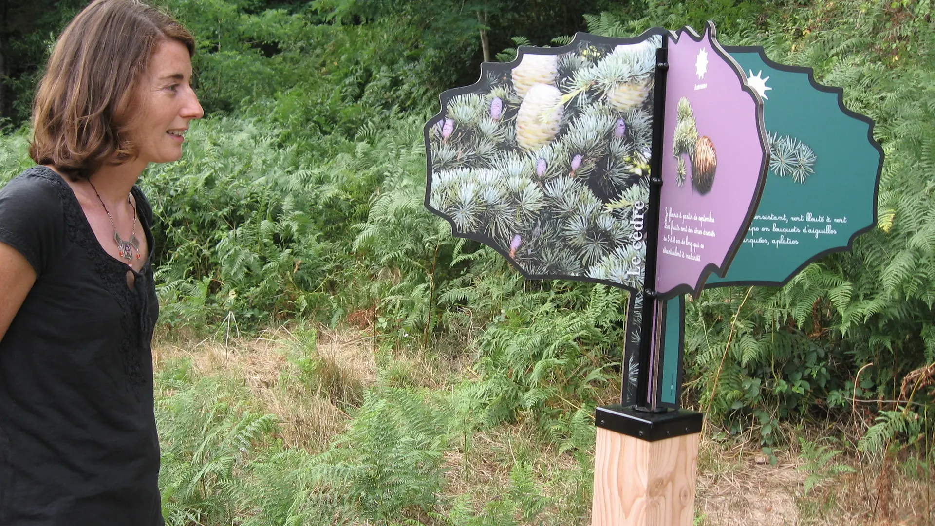 murmures-rochers-arbres-palabres-levignobledenantes-tourisme (9)