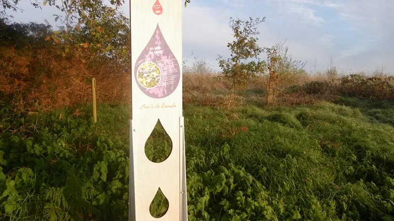 murmures-rochers-eau-a-la-bouche-levignobledenantes-tourisme (15)