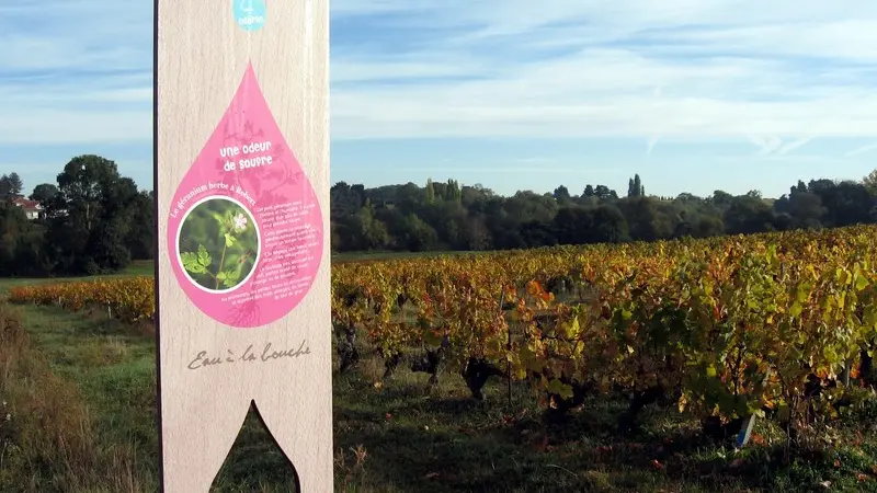 murmures-rochers-eau-a-la-bouche-levignobledenantes-tourisme (18)