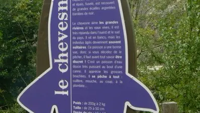 murmures-rochers-peche-ligne-levignobledenantes-tourisme (12)