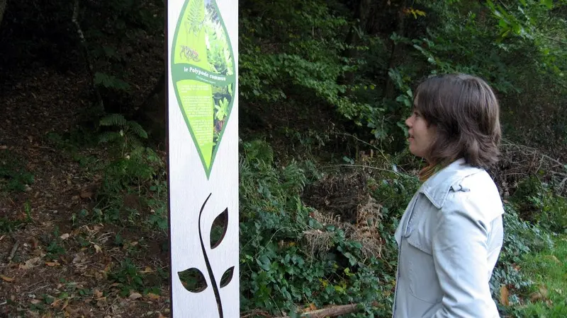 murmures-rochers-petit-botaniste-levignobledenantes-tourisme (16)