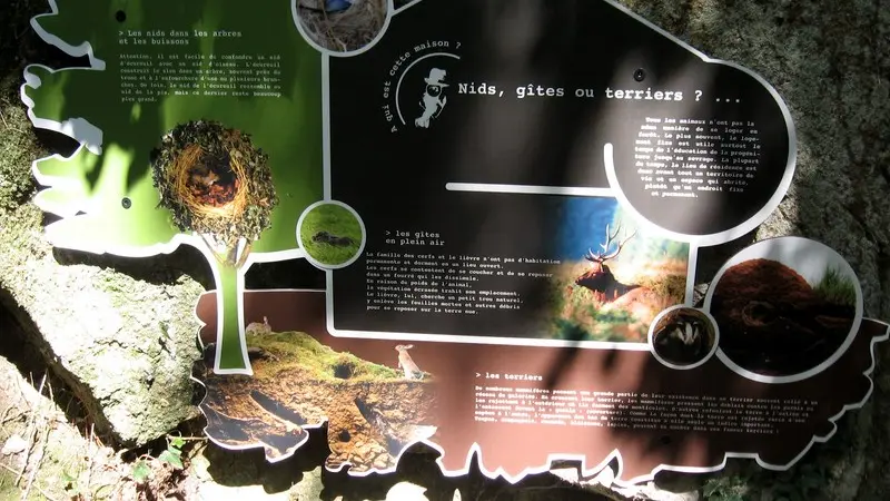 murmures-rochers-piste-empreintes-levignobledenantes-tourisme (19)